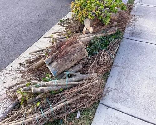 Green waste loaded for disposal